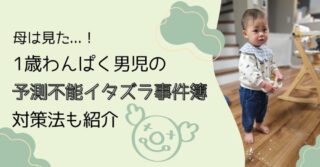 母は見た…！1歳わんぱく男児の予測不能イタズラ事件簿│対策法も紹介